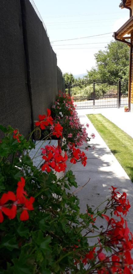 ספרבה בניה Guest House Ideal מראה חיצוני תמונה