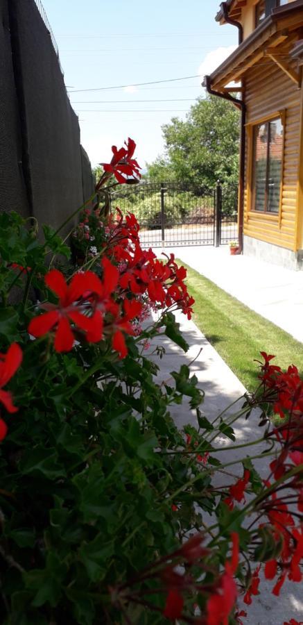 ספרבה בניה Guest House Ideal מראה חיצוני תמונה