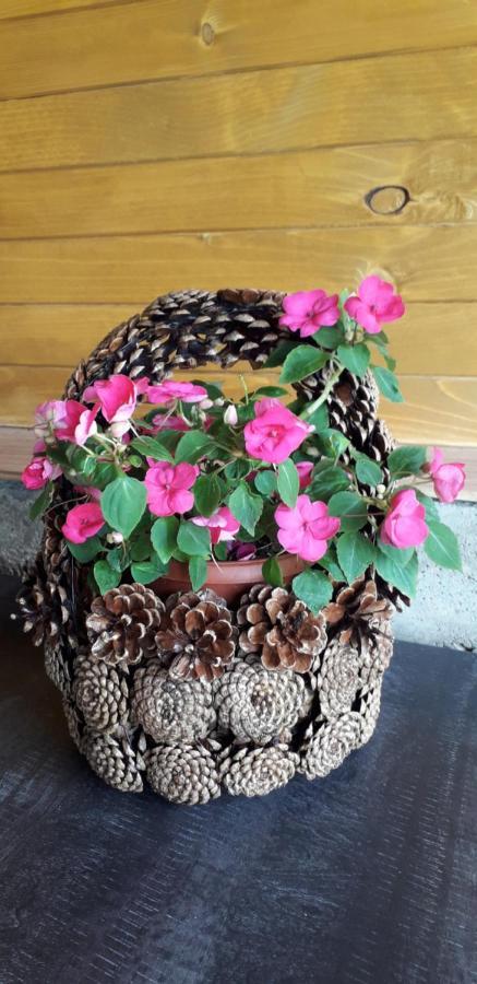 ספרבה בניה Guest House Ideal מראה חיצוני תמונה